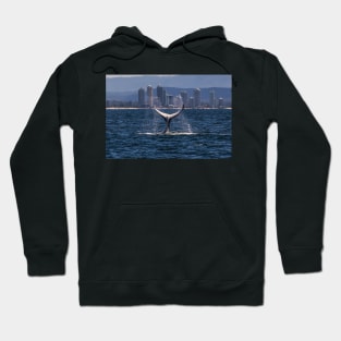 Humpback Whale Tail Slapping off Surfers Paradise Hoodie